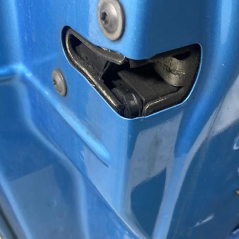 Porte avant gauche MINI MINI 1 R50/R53 Photo n°4