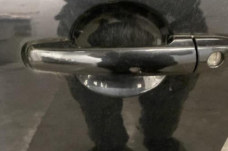 Porte avant gauche SUZUKI SX4 1