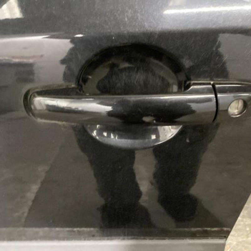 Porte avant gauche SUZUKI SX4 1 Photo n°2