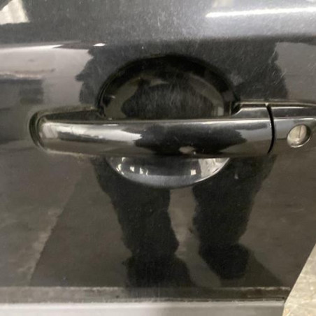 Porte avant gauche SUZUKI SX4 1