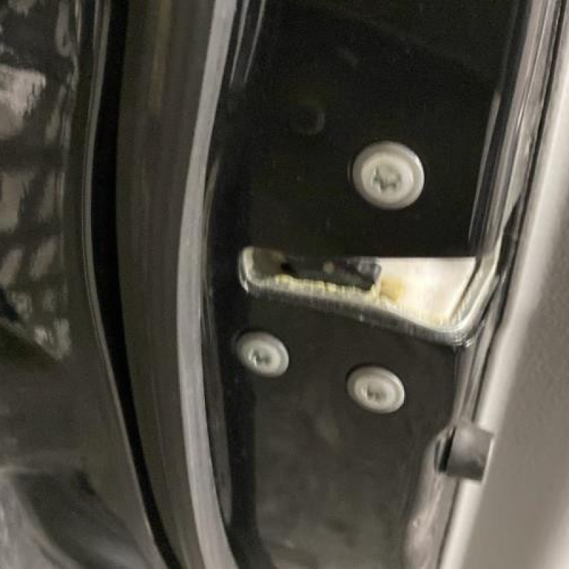 Porte avant gauche SUZUKI SX4 1 Photo n°5