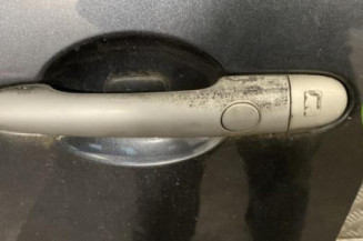 Porte avant gauche RENAULT SCENIC 2