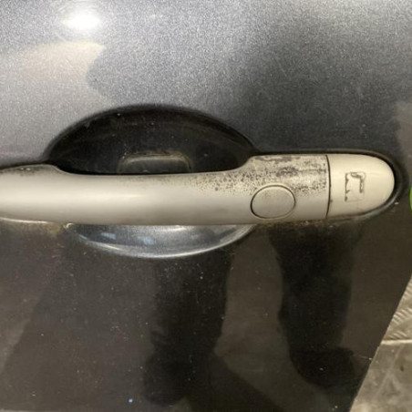 Porte avant gauche RENAULT SCENIC 2