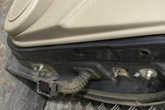 Porte avant gauche RENAULT SCENIC 2