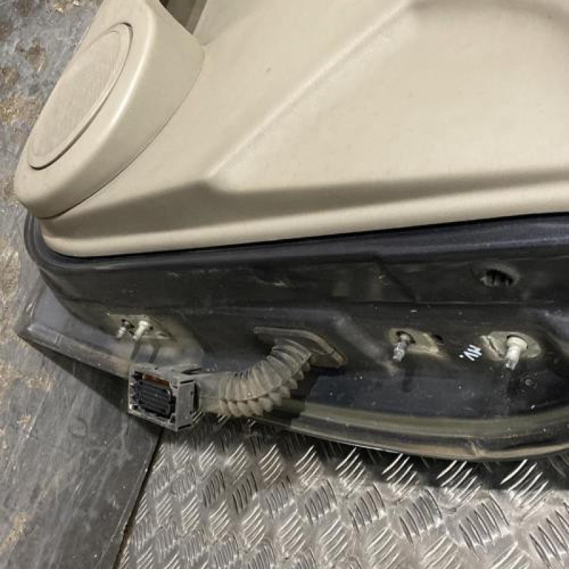 Porte avant gauche RENAULT SCENIC 2 Photo n°5