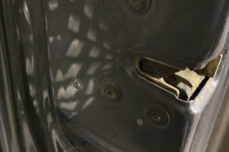 Porte avant gauche RENAULT SCENIC 2