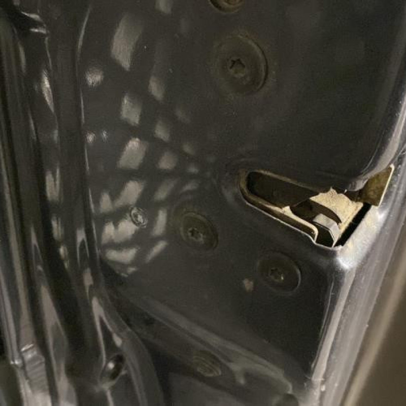 Porte avant gauche RENAULT SCENIC 2 Photo n°6