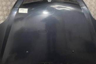 Capot RENAULT SCENIC 1 Photo n°1