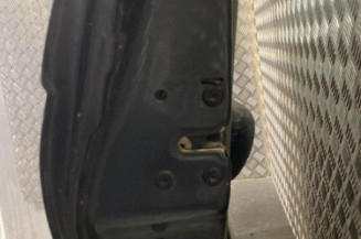 Porte arriere gauche RENAULT SCENIC 1