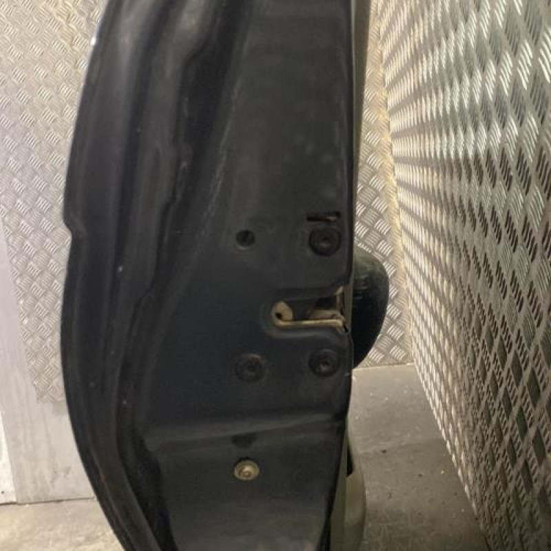 Porte arriere gauche RENAULT SCENIC 1 Photo n°3