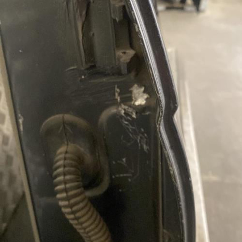 Porte arriere gauche RENAULT SCENIC 1 Photo n°4