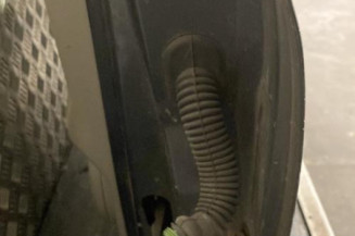 Porte avant gauche RENAULT SCENIC 1