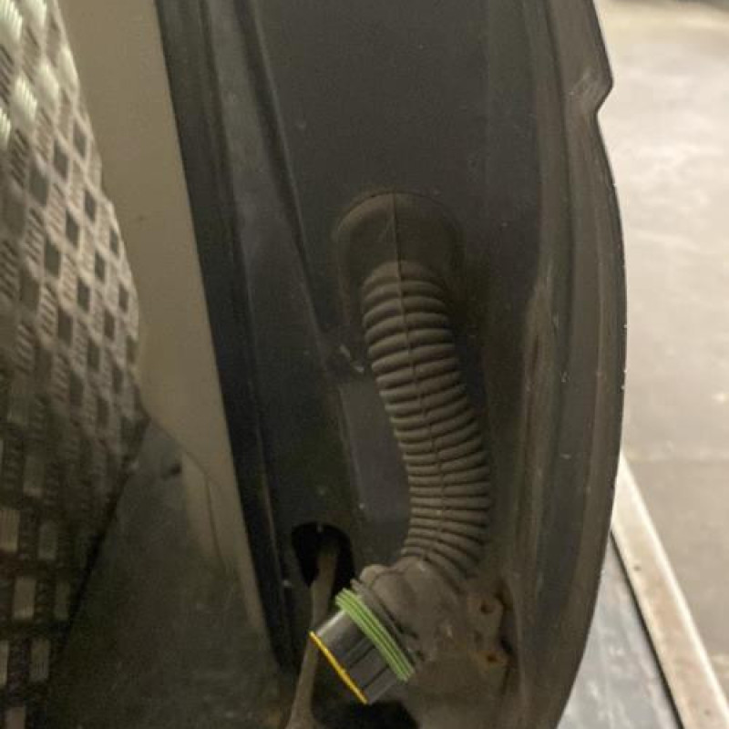 Porte avant gauche RENAULT SCENIC 1 Photo n°3