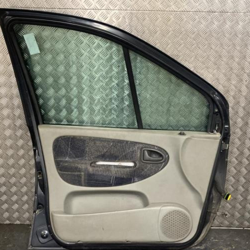 Porte avant gauche RENAULT SCENIC 1 Photo n°4