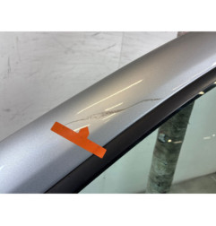 Porte avant gauche RENAULT CLIO 3