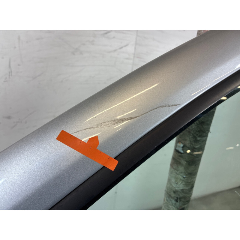 Porte avant gauche RENAULT CLIO 3 Photo n°4