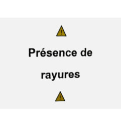 Porte arriere gauche DACIA DUSTER 1