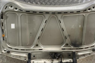 Capot SKODA FABIA 1