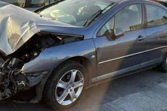Arret de porte avant gauche PEUGEOT 407