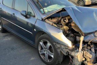Arret de porte avant gauche PEUGEOT 407