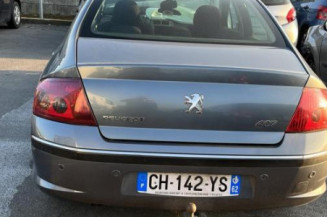 Arret de porte avant gauche PEUGEOT 407