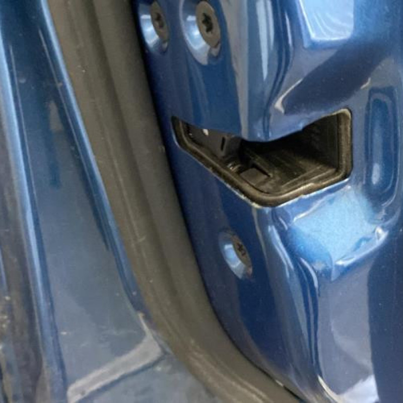 Porte avant gauche FORD S-MAX 1 Photo n°6
