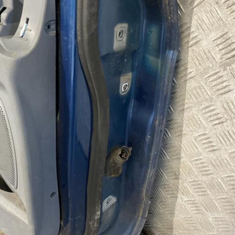 Porte avant gauche FORD S-MAX 1 Photo n°7