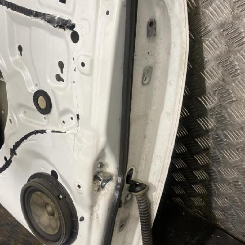 Porte arriere gauche OPEL AGILA B Photo n°4