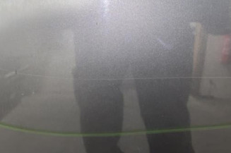 Porte arriere gauche VOLKSWAGEN PASSAT 5