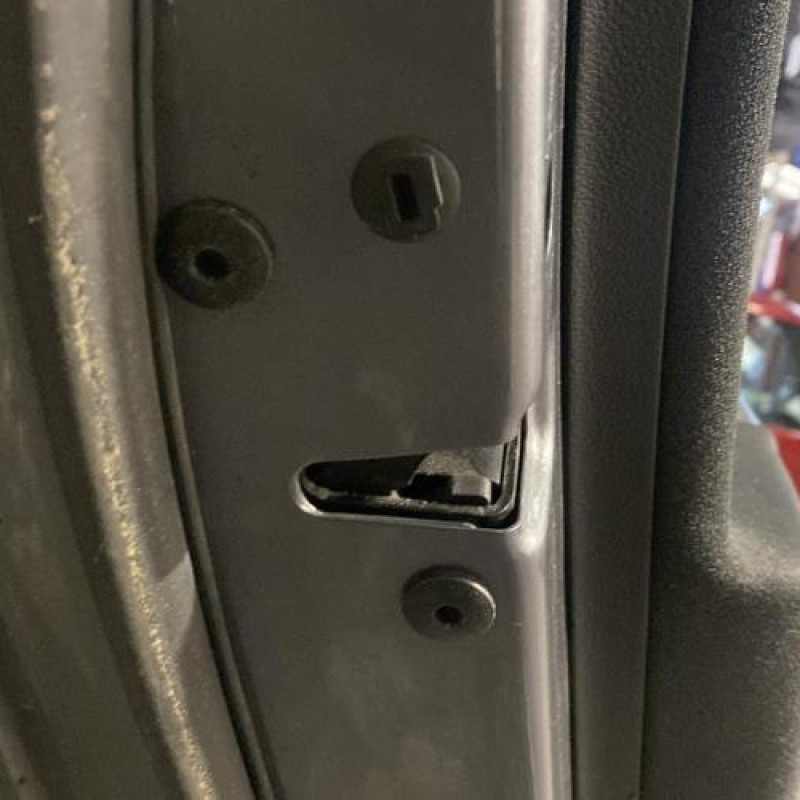 Porte arriere gauche VOLKSWAGEN PASSAT 5 Photo n°7