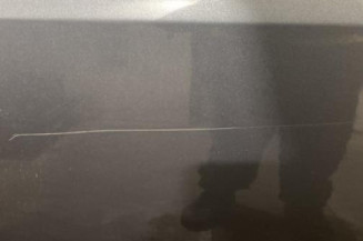 Porte arriere gauche PEUGEOT 407