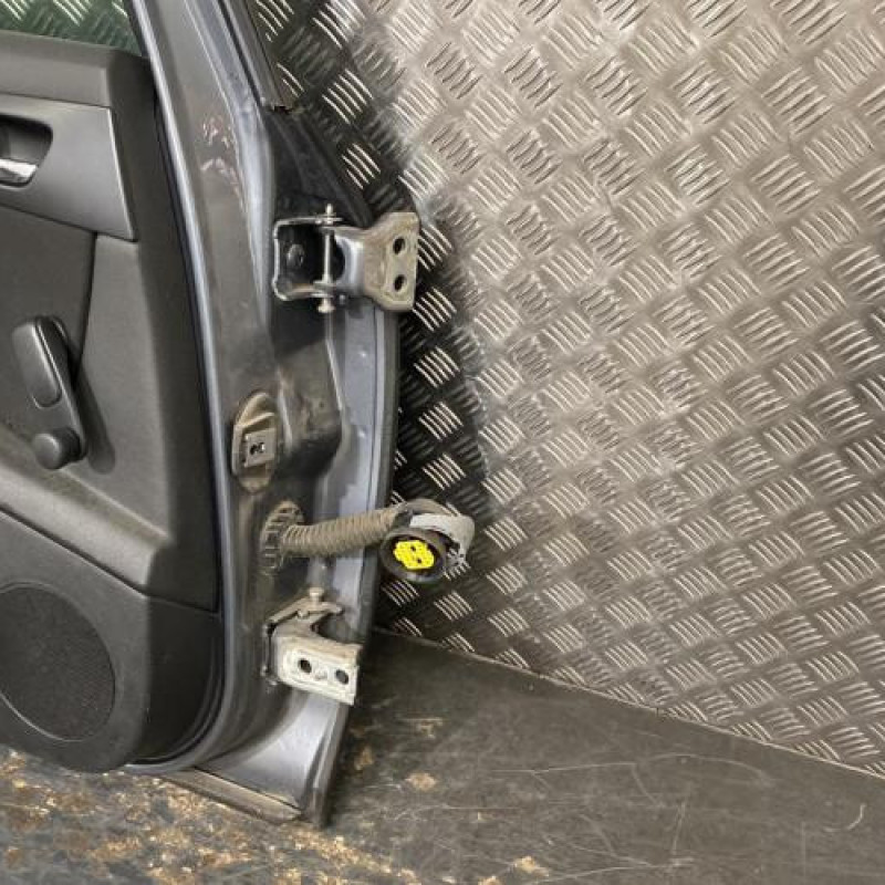 Porte arriere gauche PEUGEOT 407 Photo n°5