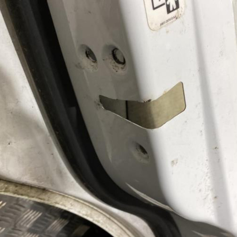 Porte arriere gauche FORD GALAXY 2 Photo n°4
