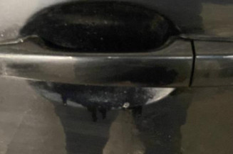 Porte arriere gauche VOLVO S 40 2