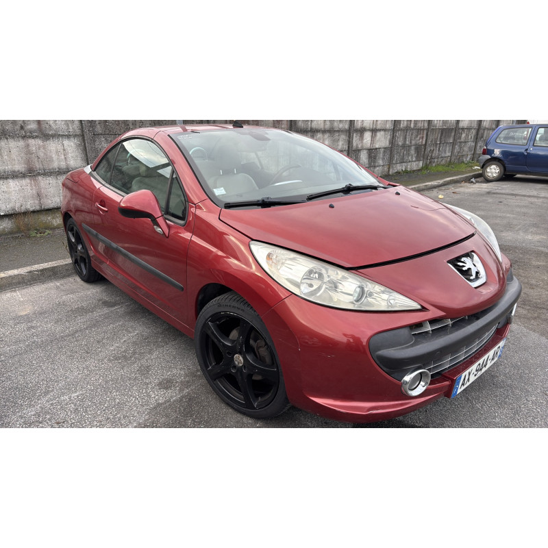 Custode avant gauche (porte) PEUGEOT 207 Photo n°6