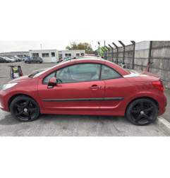 Custode avant gauche (porte) PEUGEOT 207