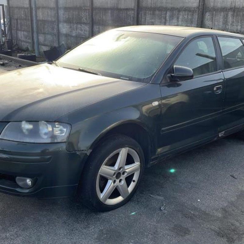 Malle/Hayon arriere AUDI A3 2 Photo n°11