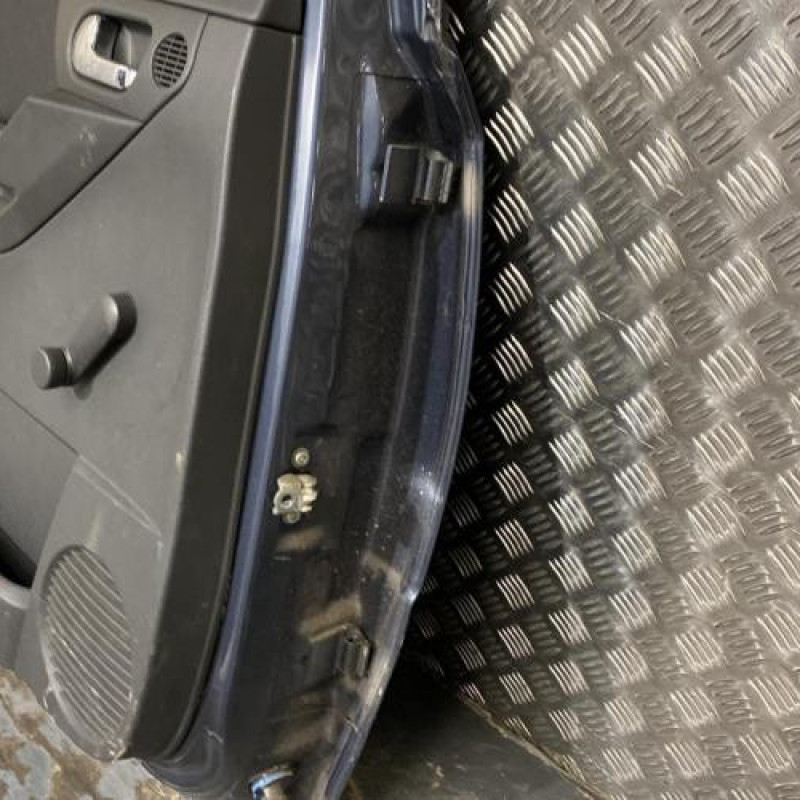 Porte arriere gauche OPEL MERIVA A Photo n°5