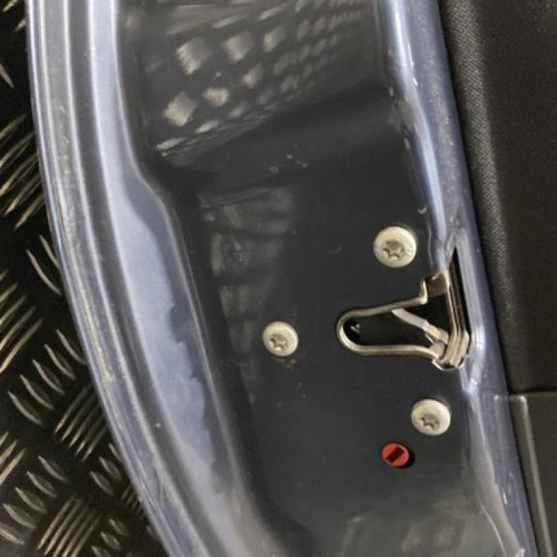 Porte arriere gauche OPEL MERIVA A Photo n°6