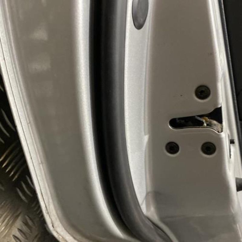 Porte arriere gauche HYUNDAI SANTA FE 2 Photo n°4