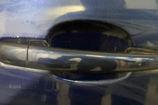 Porte avant droit CITROEN C4 PICASSO 1