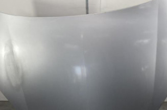 Capot OPEL SIGNUM Photo n°1