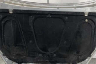 Capot OPEL SIGNUM