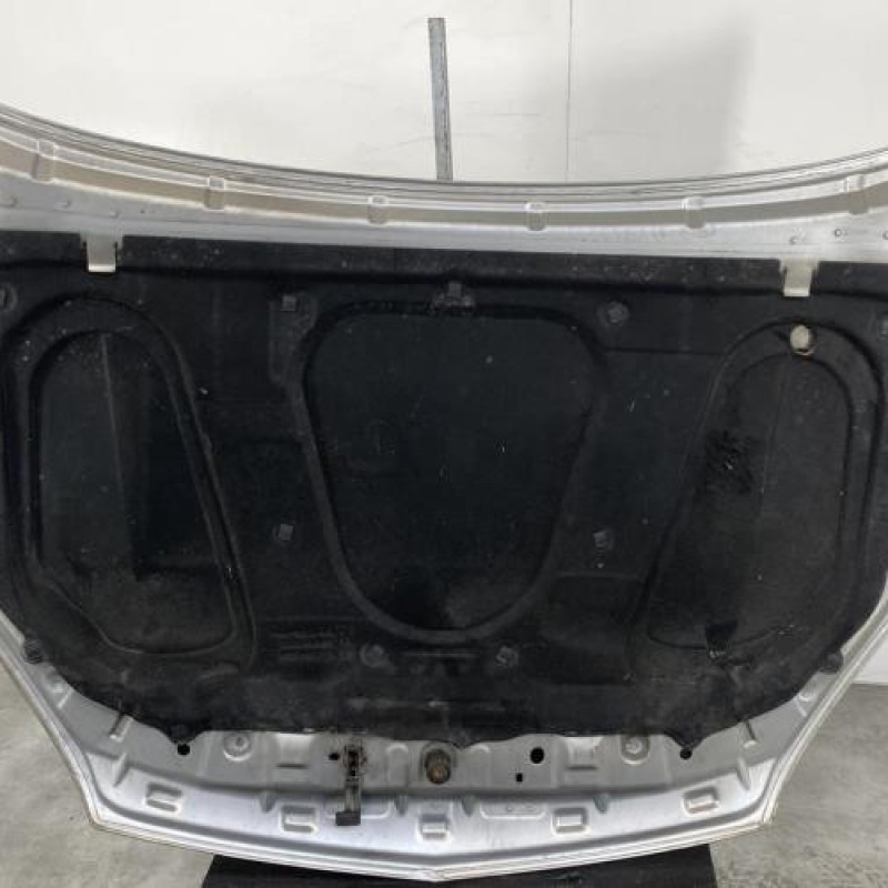 Capot OPEL SIGNUM Photo n°4