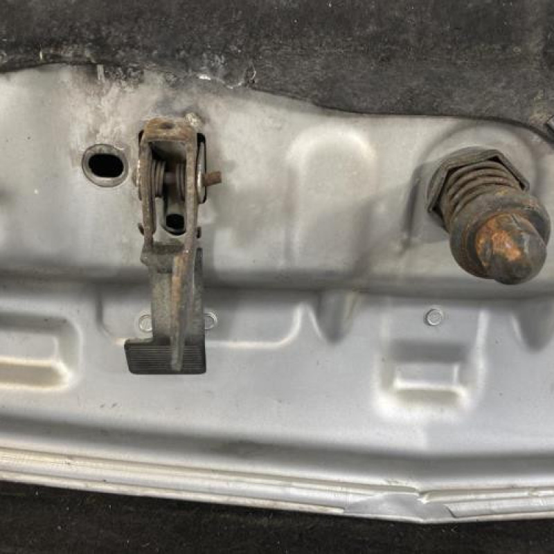 Capot OPEL SIGNUM Photo n°7