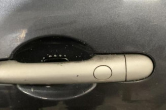 Porte arriere gauche RENAULT MEGANE 2