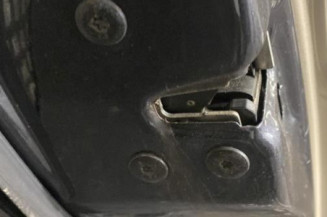 Porte arriere gauche RENAULT MEGANE 2
