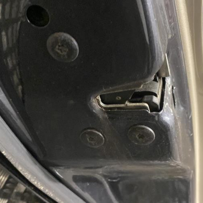 Porte arriere gauche RENAULT MEGANE 2 Photo n°6