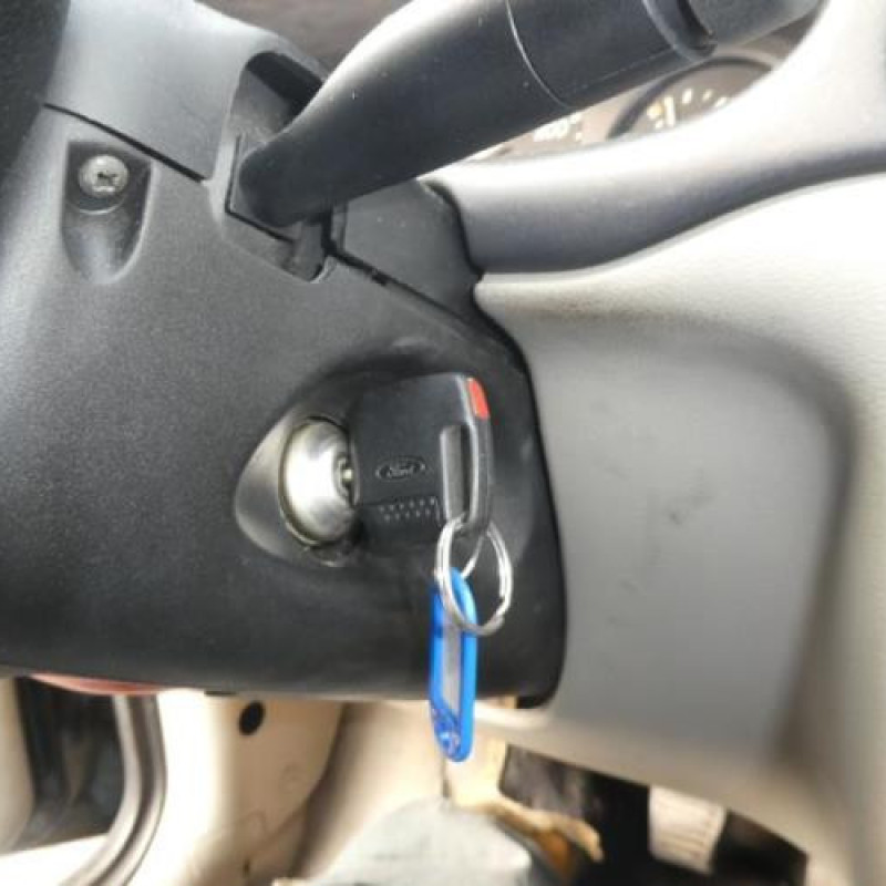 Porte arriere gauche FORD FIESTA 4 Photo n°19