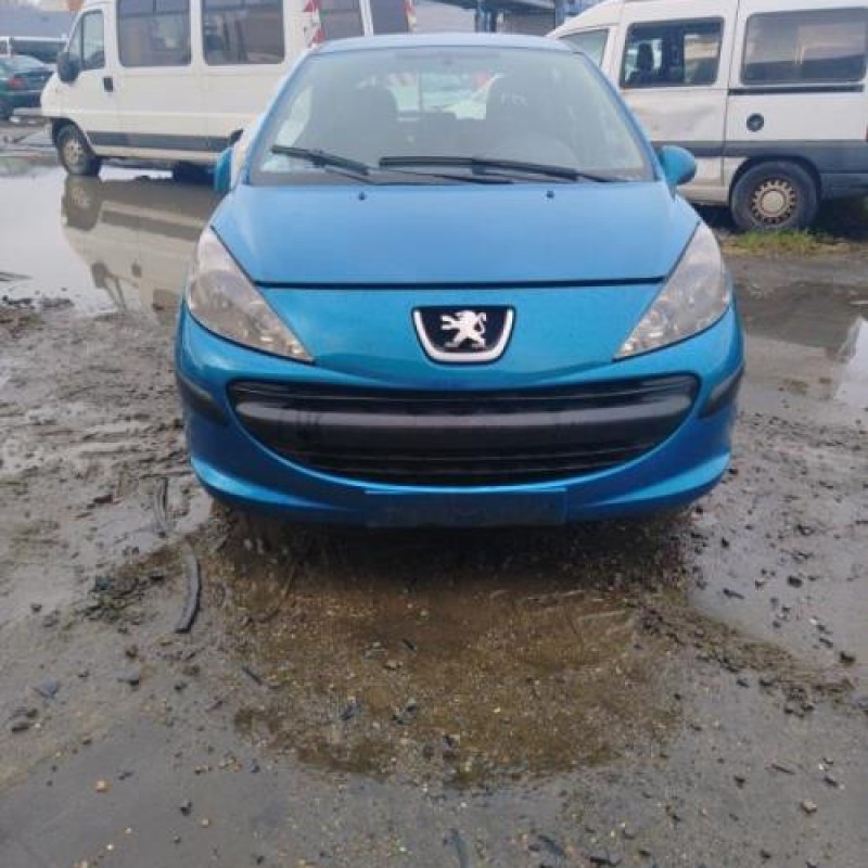 Porte avant gauche PEUGEOT 207 Photo n°8